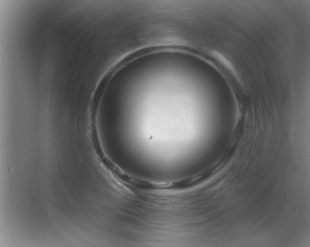 X0000069791364200605191027