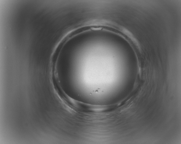 X0000069791368200605191027