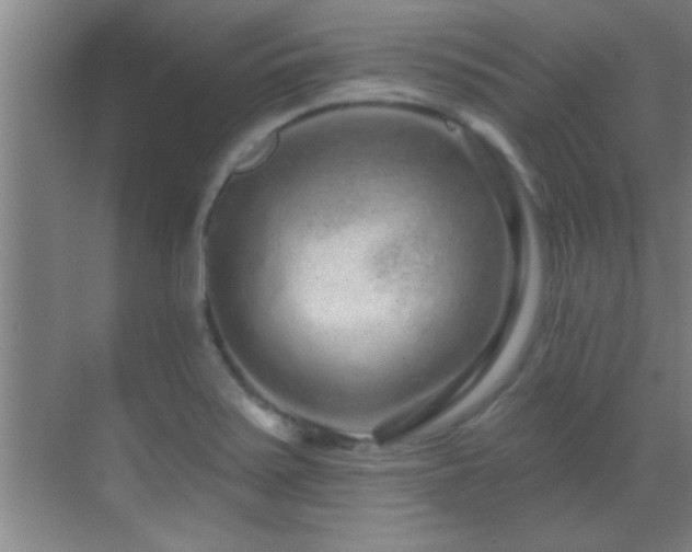 X0000069791371200605191027