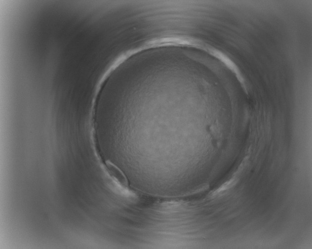 X0000069791373200605191027