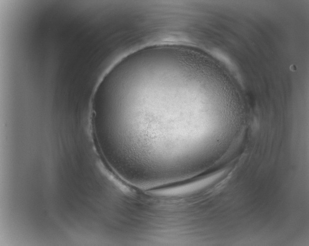 X0000069791374200605191027