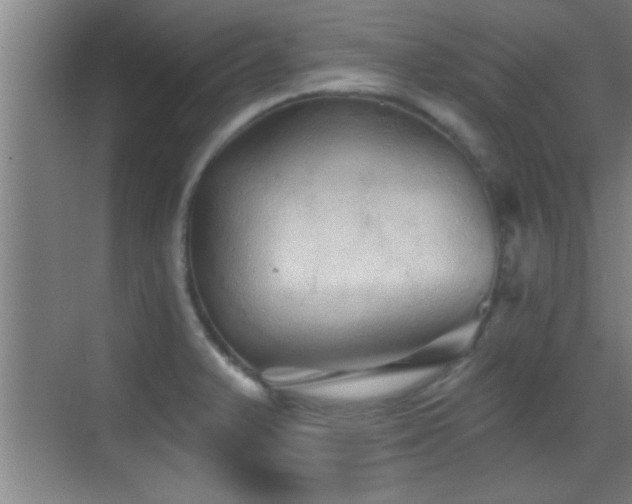 X0000069791375200605191027