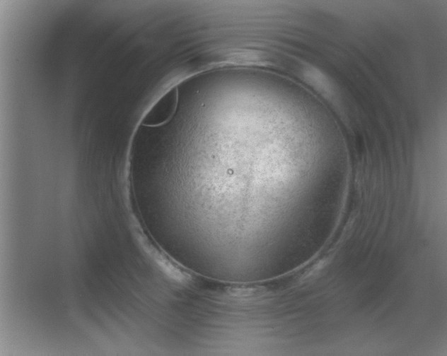 X0000069791378200605191027