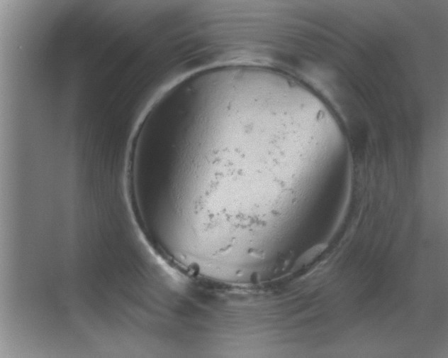 X0000069791379200605191027