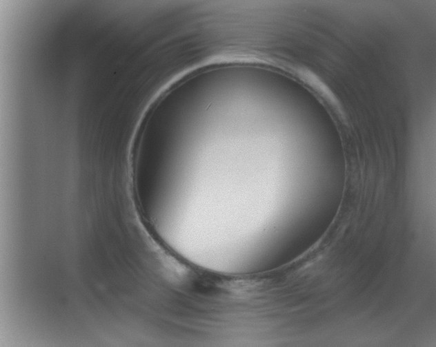 X0000069791380200605191027