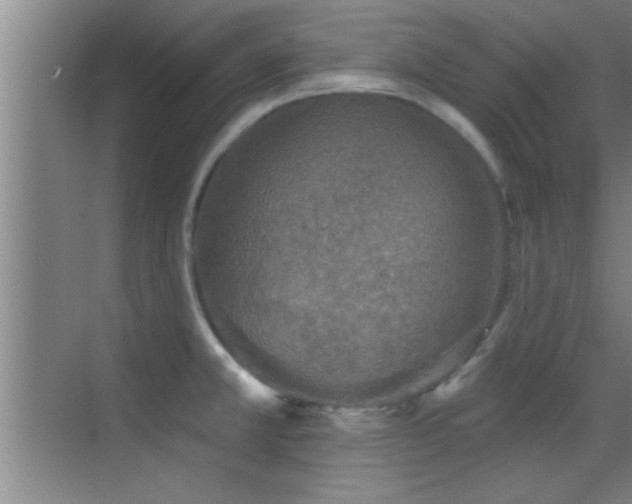 X0000069791381200605191027