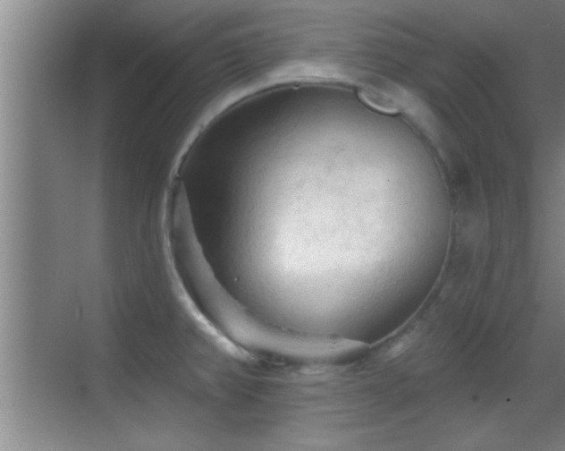 X0000069791382200605191027