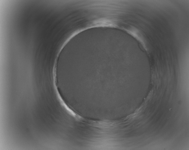 X0000069791383200605191027