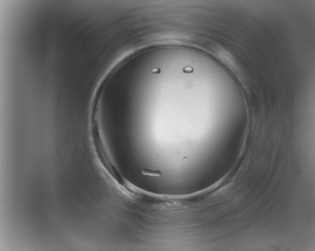 X0000069791384200605191027