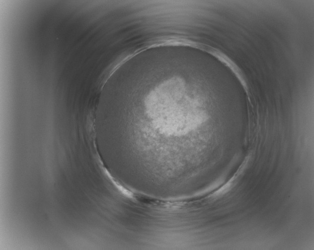 X0000069791385200605191027