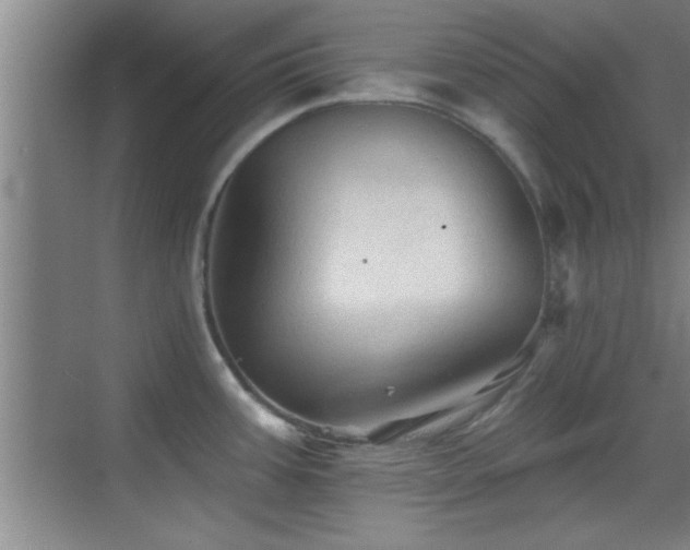 X0000069791387200605191027