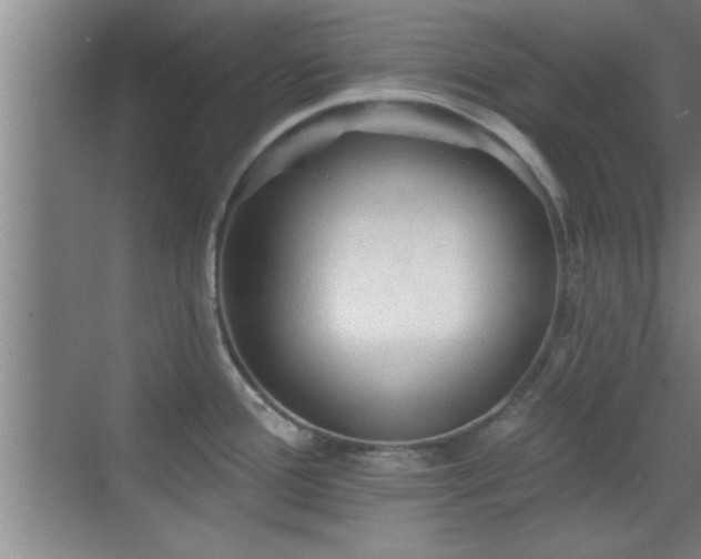 X0000069791388200605191027