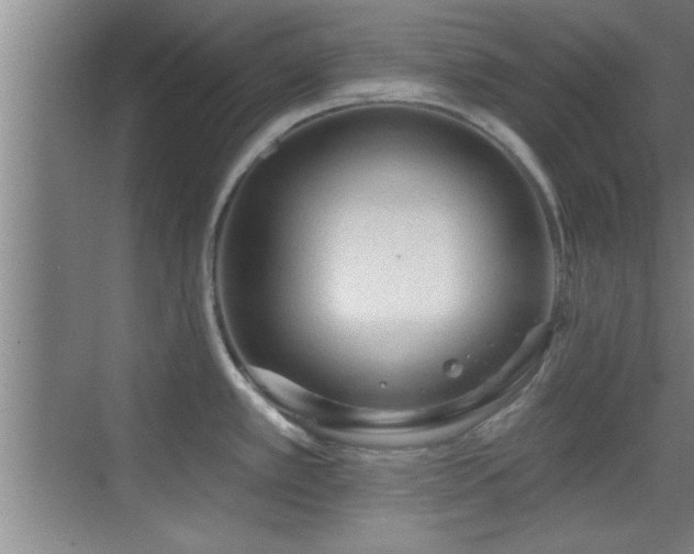 X0000069791389200605191027