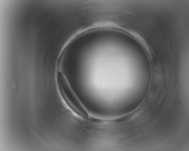 X0000069791390200605191027