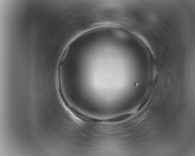 X0000069791391200605191027