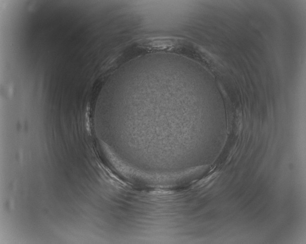 X0000069791394200605191026