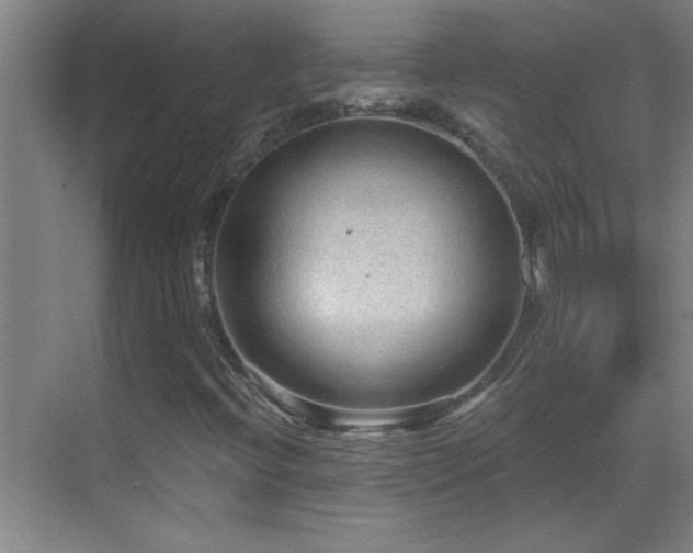 X0000069791396200605191026