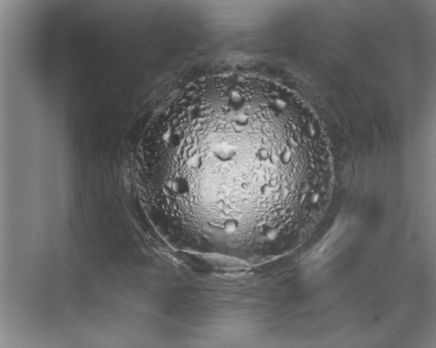 X0000069791397200605191026