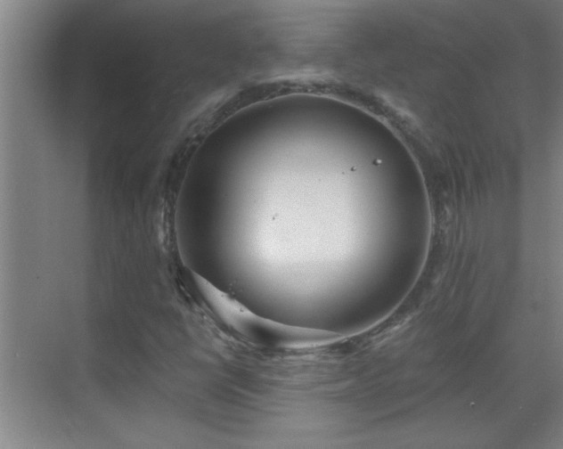 X0000069791398200605191026