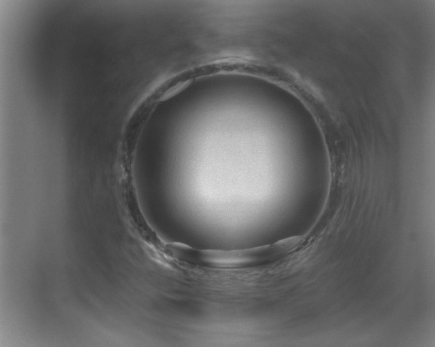 X0000069791400200605191026