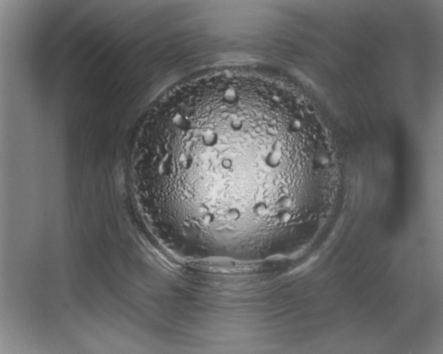 X0000069791401200605191026