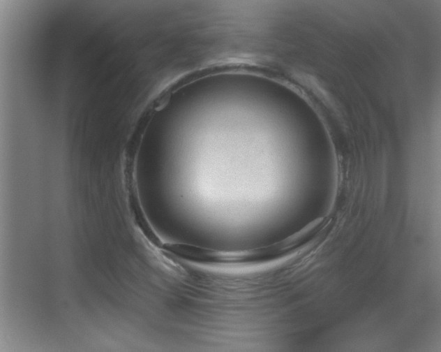 X0000069791404200605191026