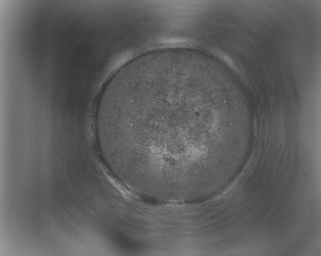 X0000069791405200605191026