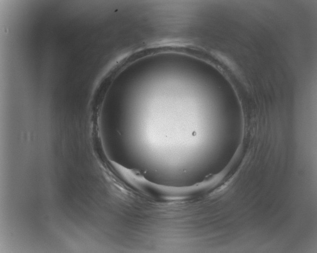 X0000069791406200605191026