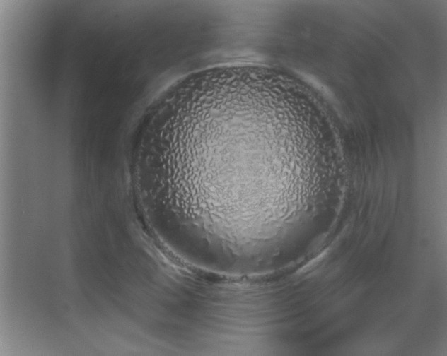 X0000069791407200605191026