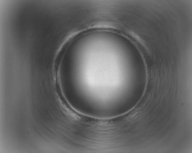 X0000069791408200605191026