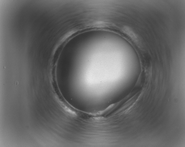 X0000069791410200605191026