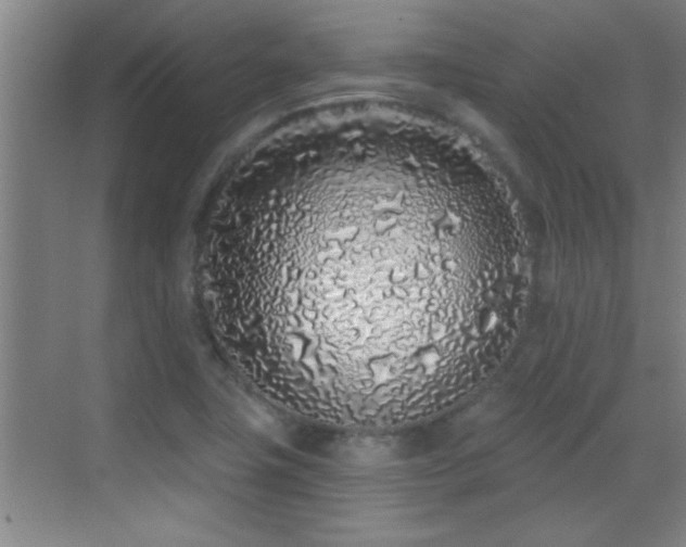 X0000069791411200605191026