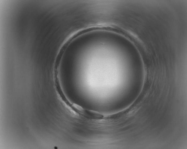 X0000069791412200605191026