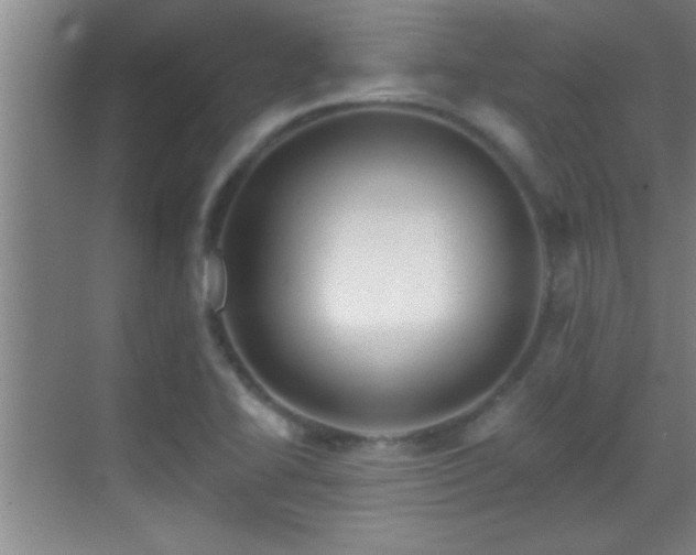 X0000069791414200605191026