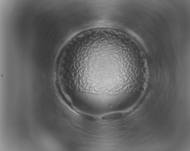 X0000069791415200605191026