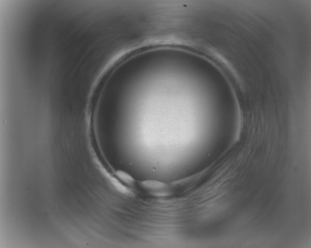 X0000069791416200605191026