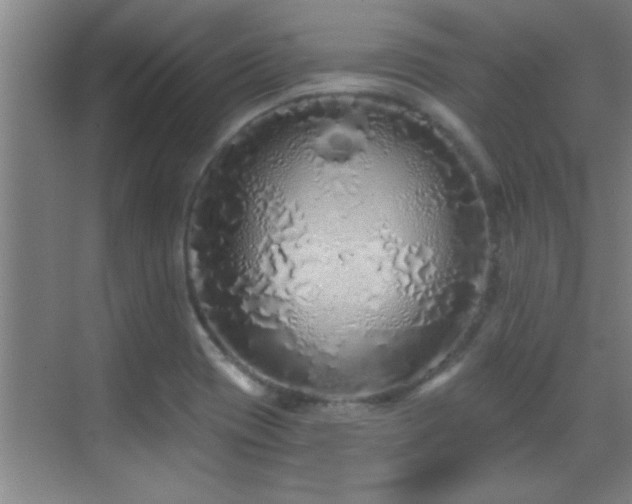 X0000069791417200605191026