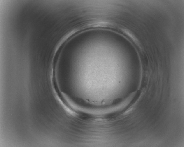 X0000069791418200605191026