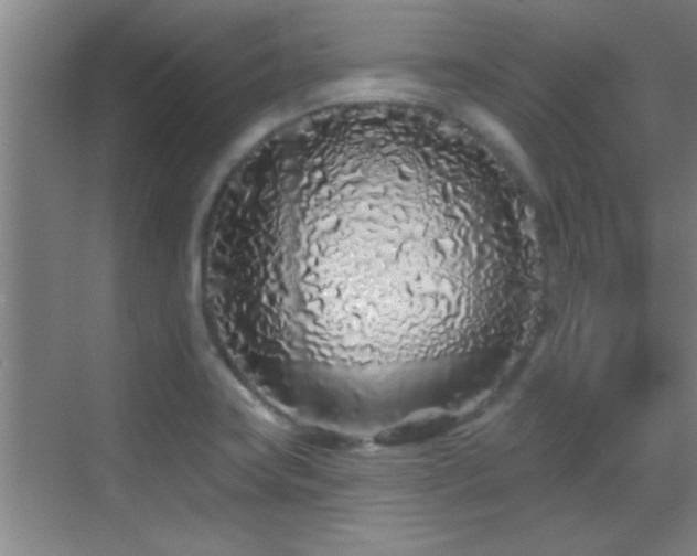 X0000069791419200605191026