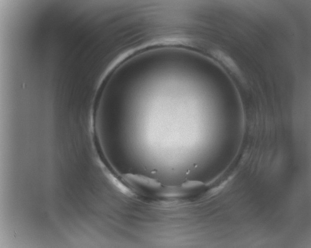 X0000069791420200605191026