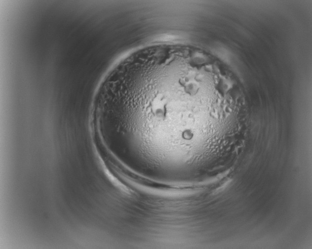 X0000069791421200605191027