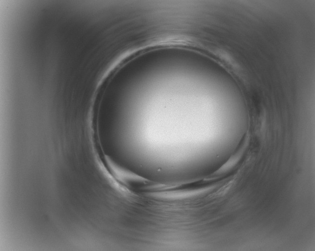 X0000069791422200605191027