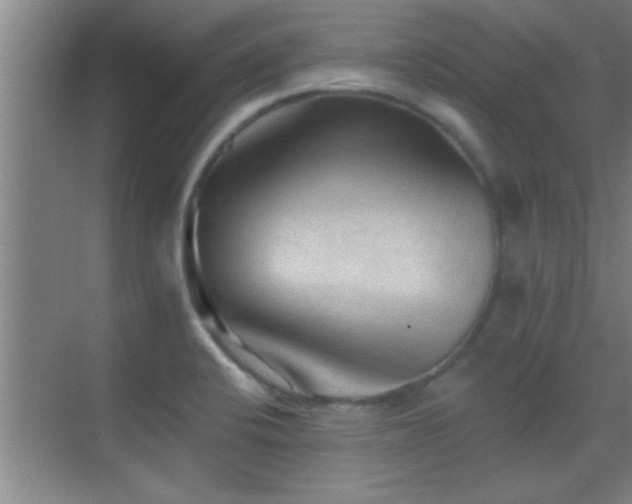 X0000069791424200605191027