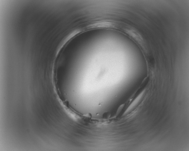 X0000069791426200605191027