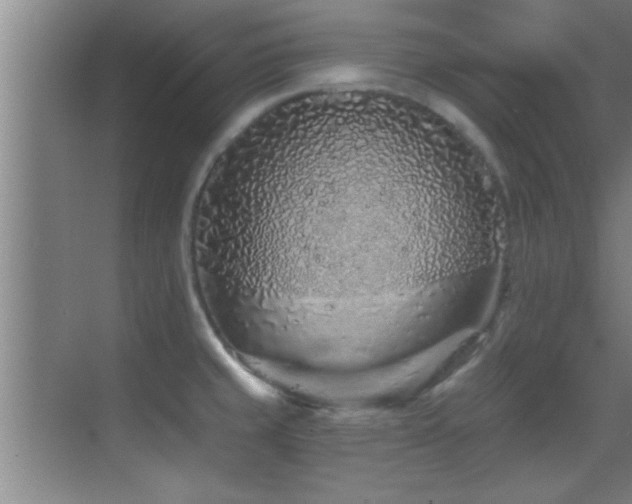 X0000069791429200605191027