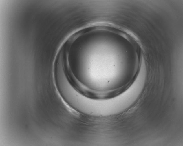 X0000069791430200605191027