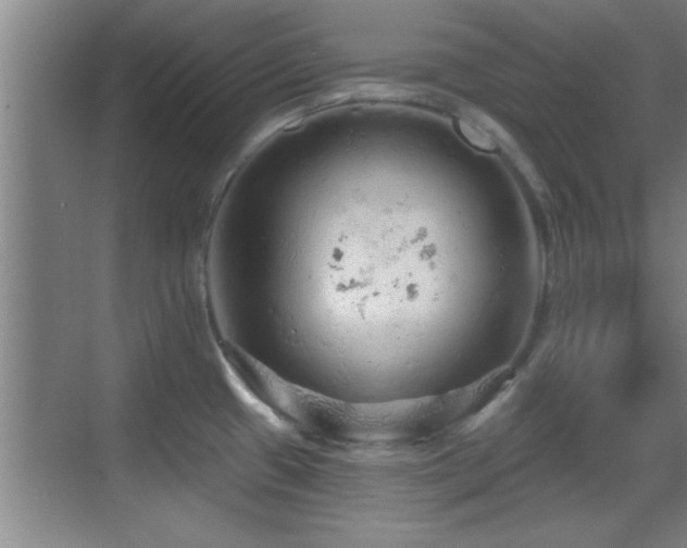 X0000069791433200605191027