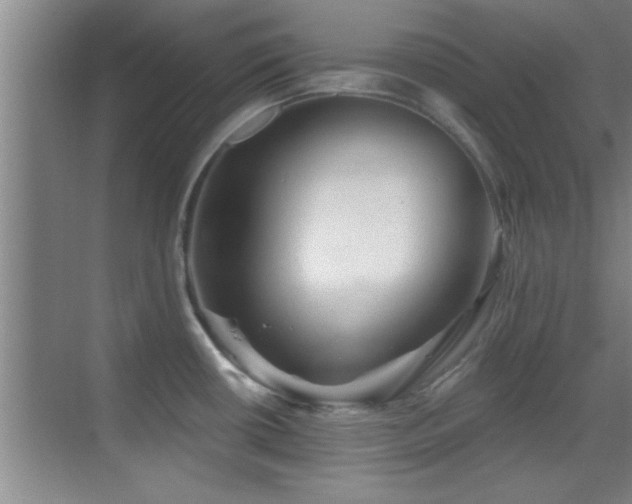 X0000069791434200605191027