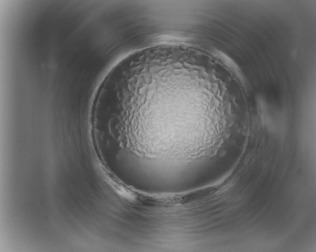 X0000069791435200605191027