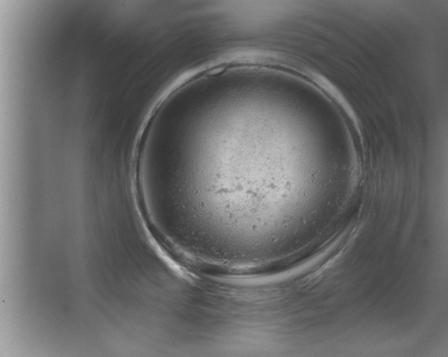 X0000069791437200605191027